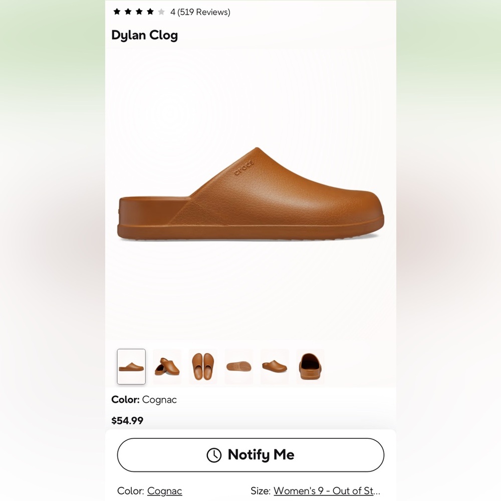 Croc Dylan clogs